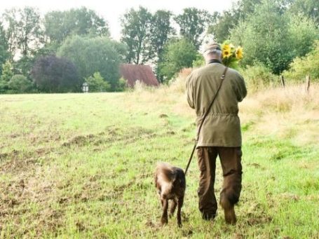 Peter mit Alba im Feld